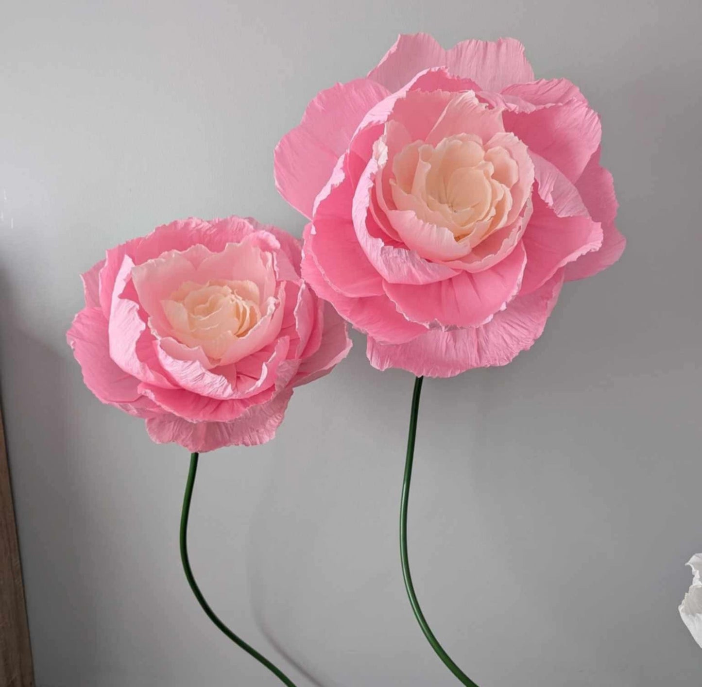 Giant Paper flowers for Baby Shower, Mother's day event or Corporate occassion