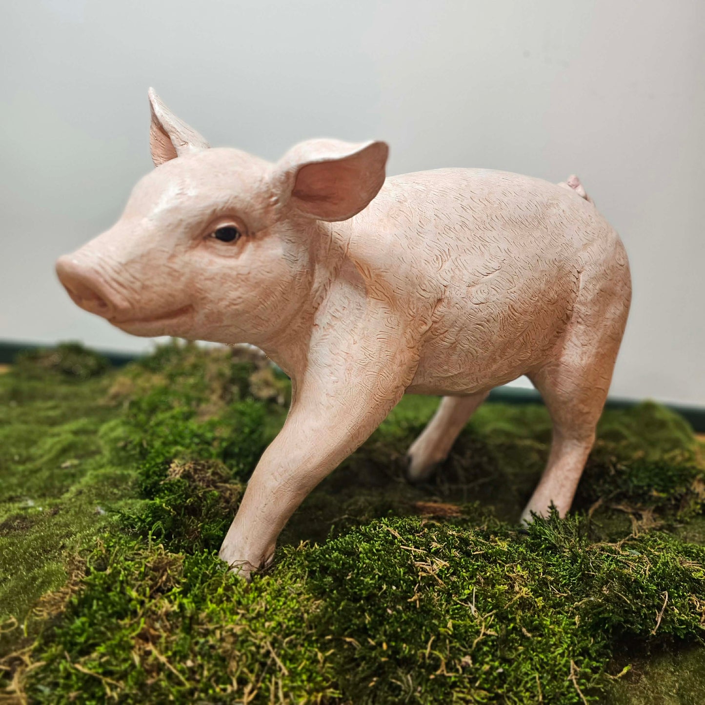 pig prop standing on a grassy surface with a plain background