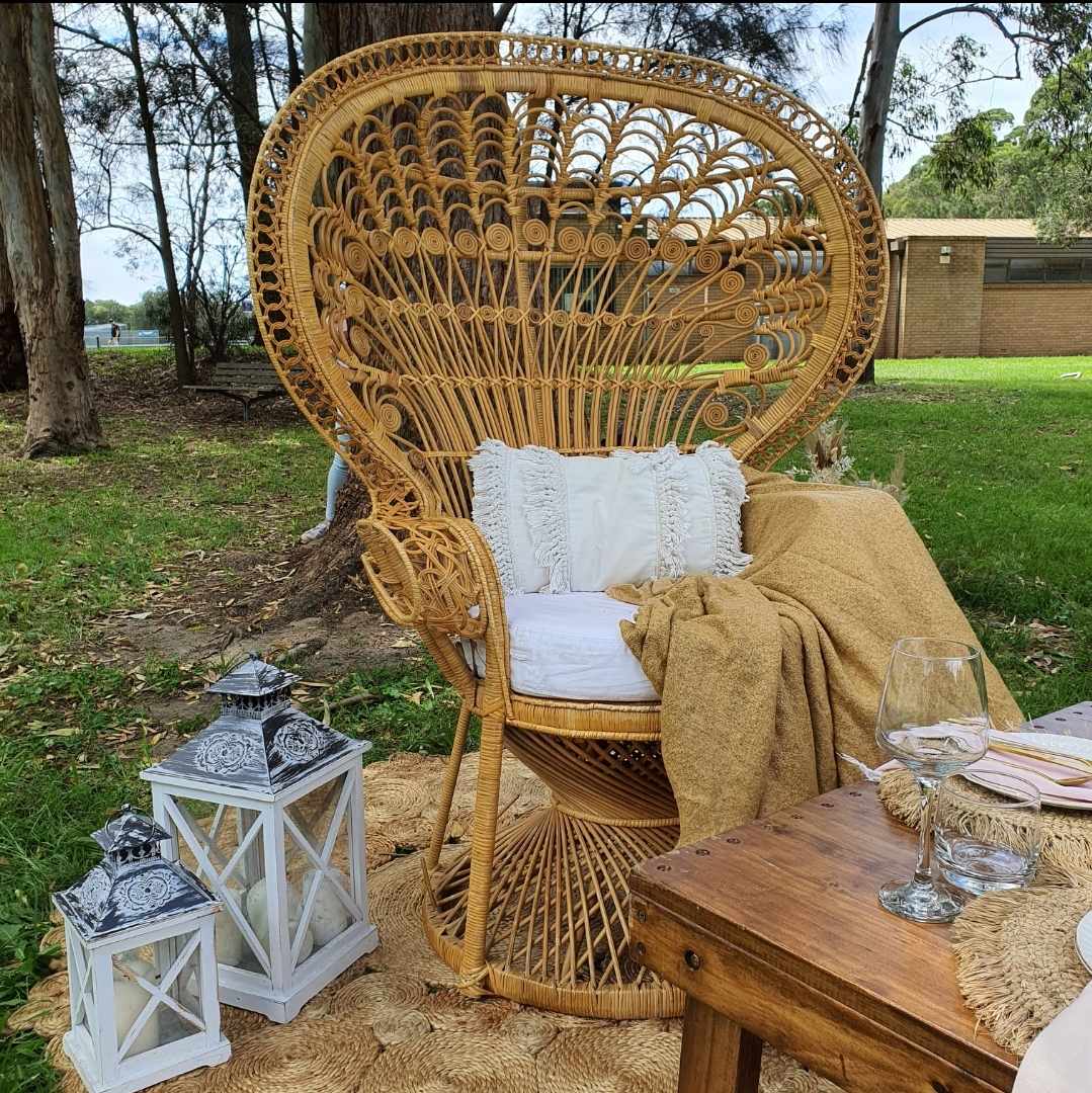 Cane Boho peacock chair for hire, pictured at a hen's party picnic in Sydney with throw rug, white cushions and lanterns