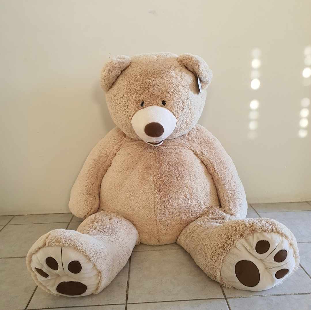 Huge teddy bear to hire for birthdays, christenings and baby shower decorations