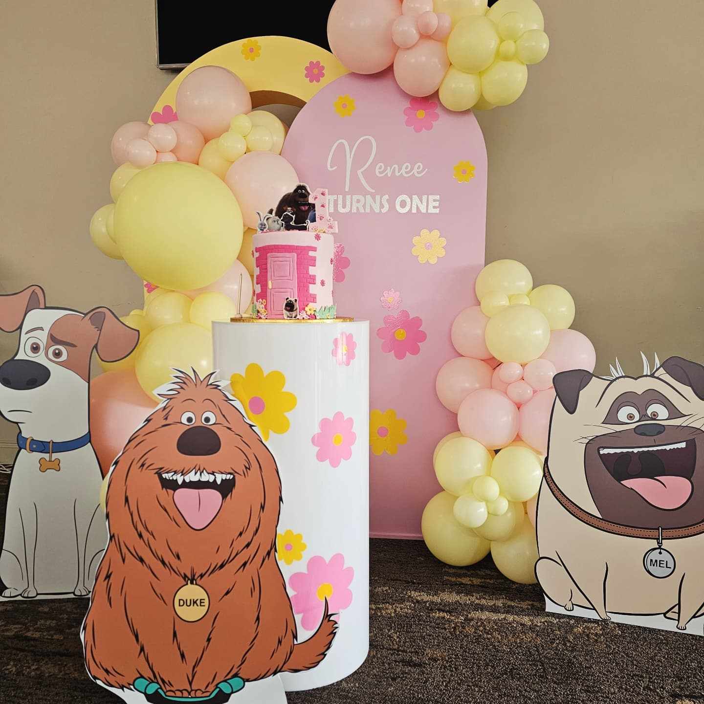 Open Arch backdrop with daisies added for this first bithday. Laso pictured with our secret life of pets cutouts, acrylic plinth with daisy personalisation, balloon garland and pink arch backdrop with personalisation.