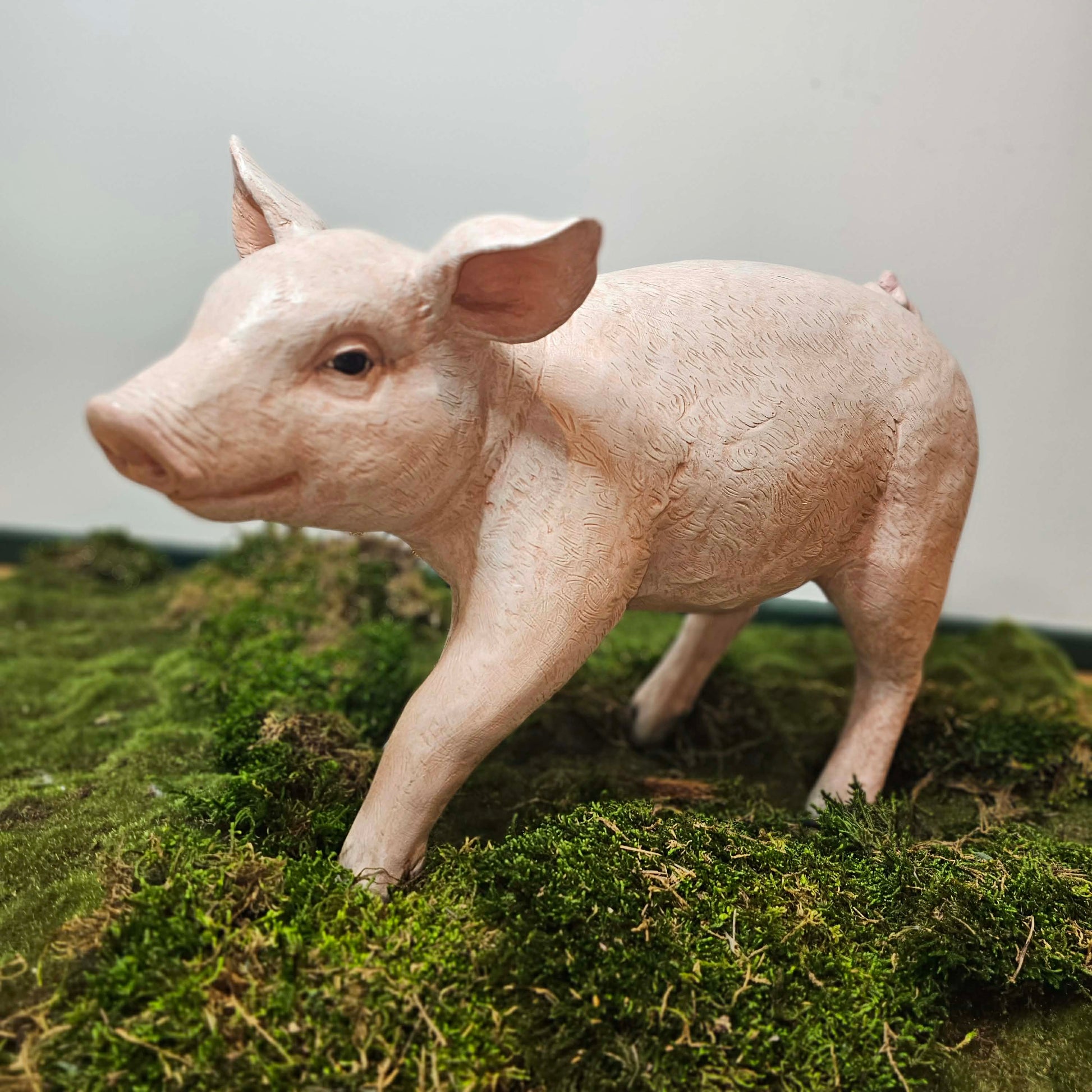 pig prop standing on a grassy surface with a plain background